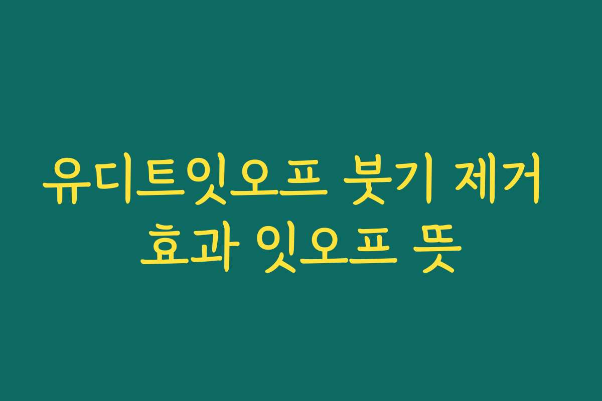유디트잇오프 붓기 제거 효과 잇오프 뜻