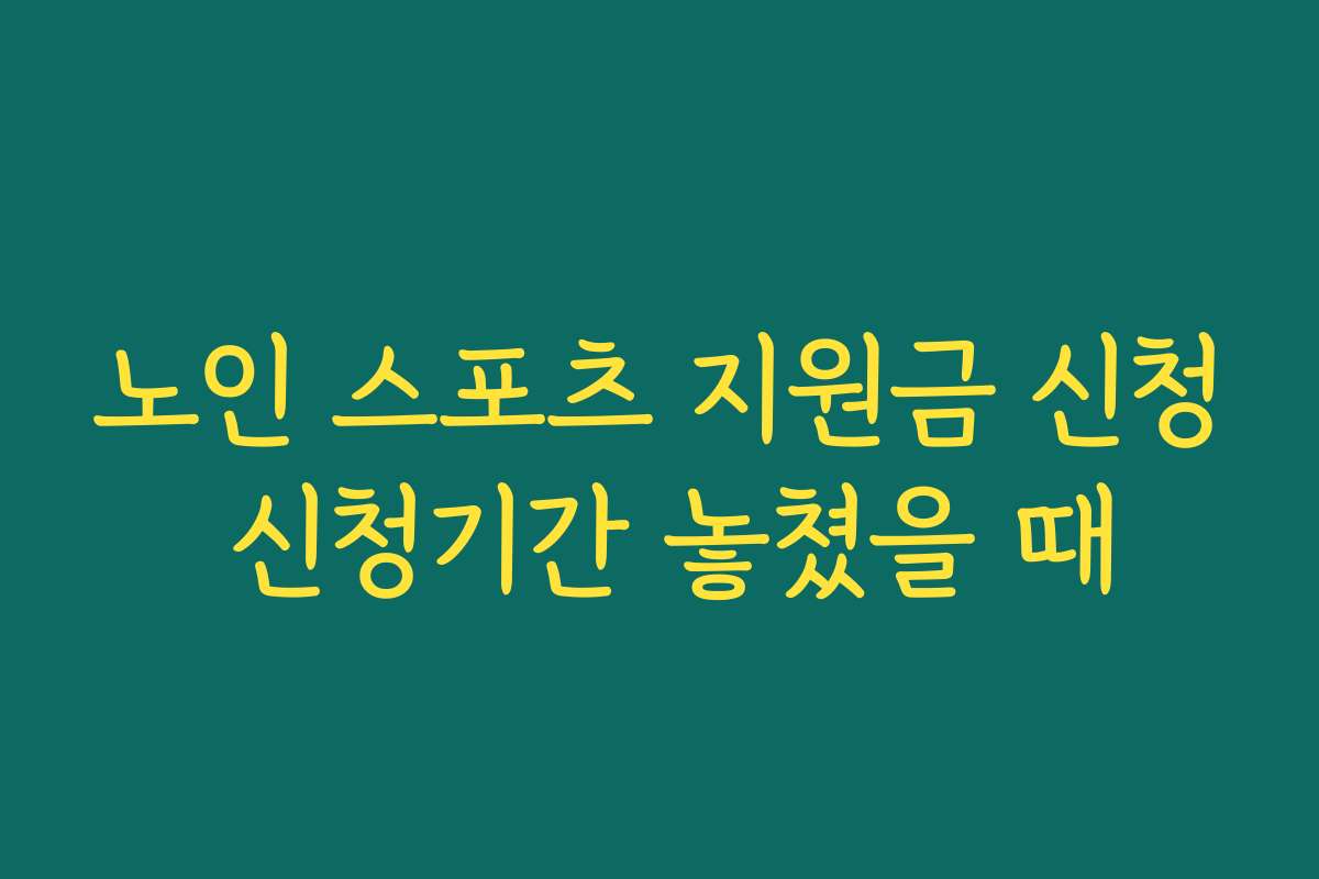 노인 스포츠 지원금 신청 신청기간 놓쳤을 때