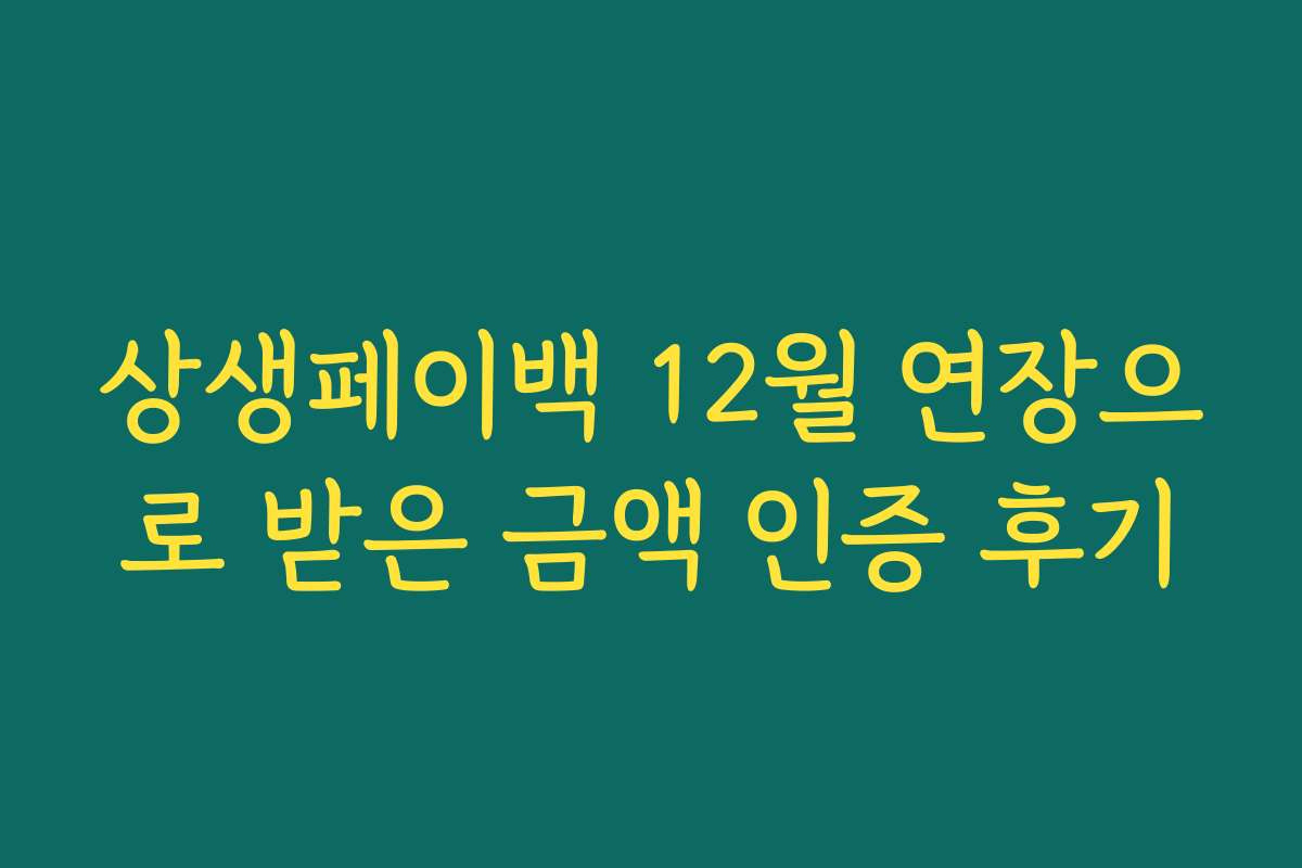 상생페이백 12월 연장으로 받은 금액 인증 후기
