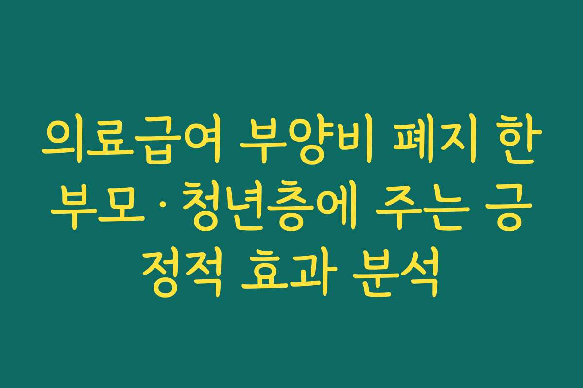 의료급여 부양비 폐지 한부모·청년층에 주는 긍정적 효과 분석
