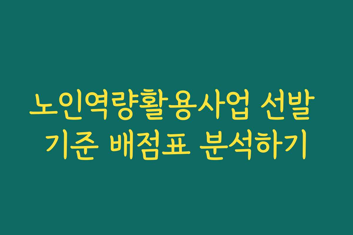 노인역량활용사업 선발 기준 배점표 분석하기