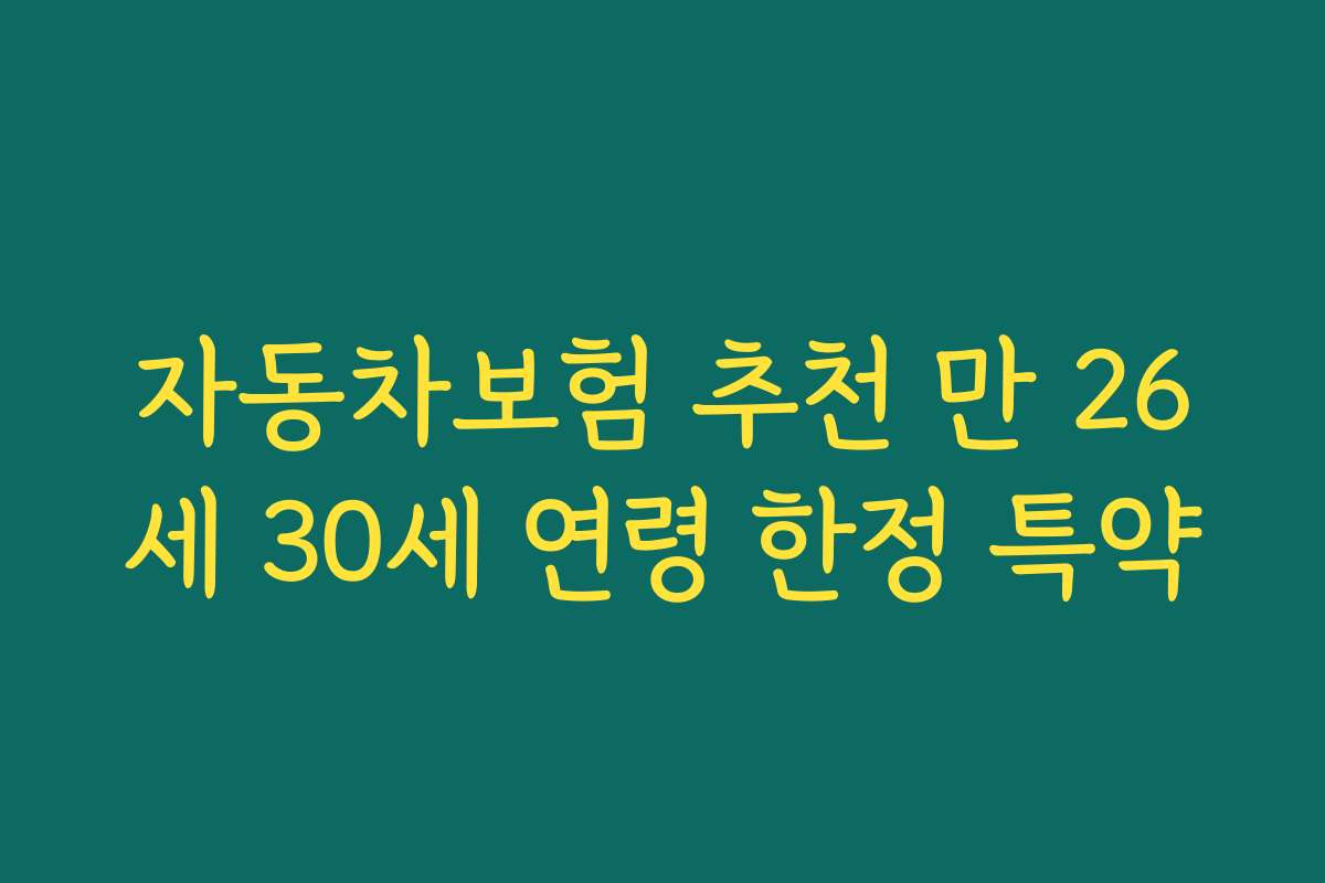 자동차보험 추천 만 26세 30세 연령 한정 특약