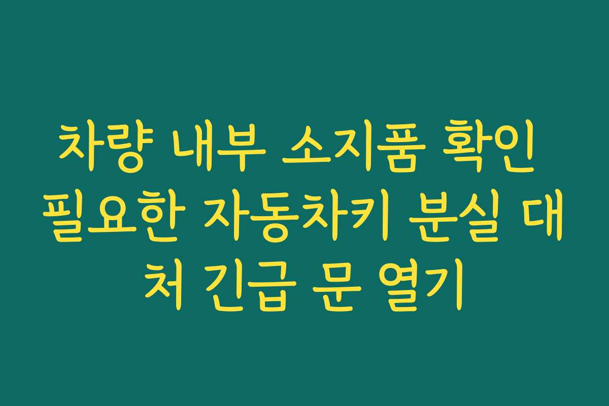 차량 내부 소지품 확인 필요한 자동차키 분실 대처 긴급 문 열기