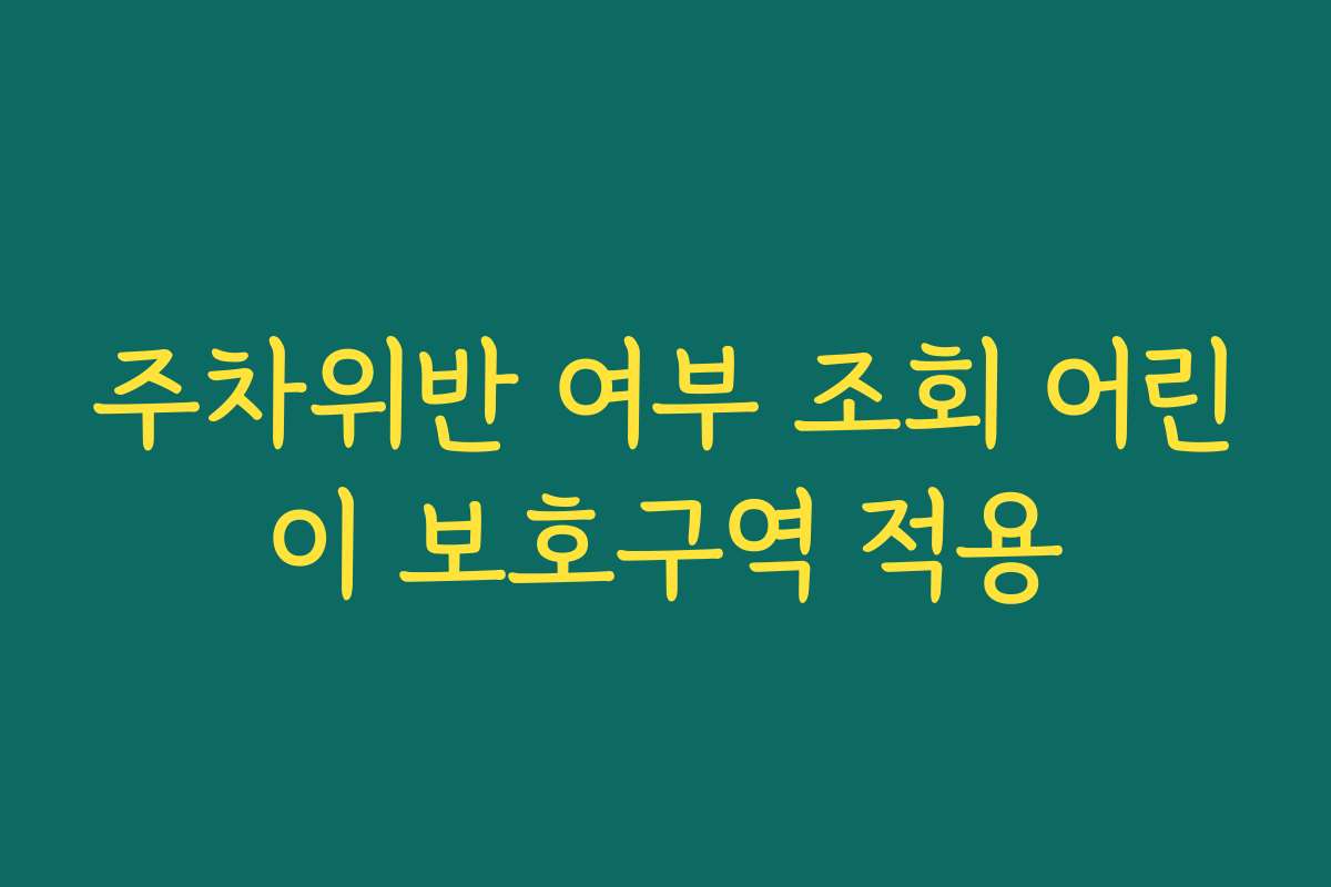 주차위반 여부 조회 어린이 보호구역 적용