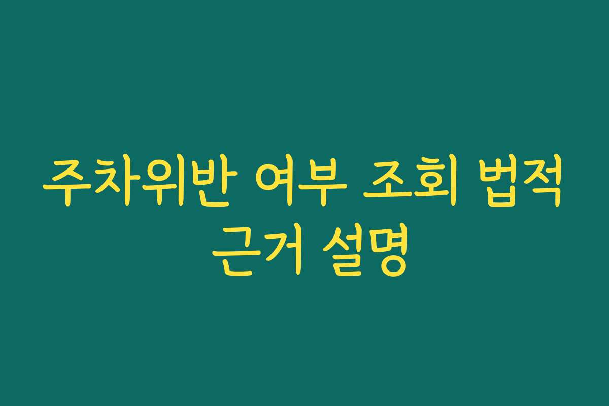 주차위반 여부 조회 법적 근거 설명
