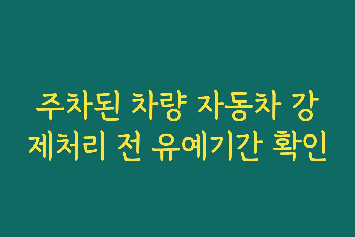 주차된 차량 자동차 강제처리 전 유예기간 확인