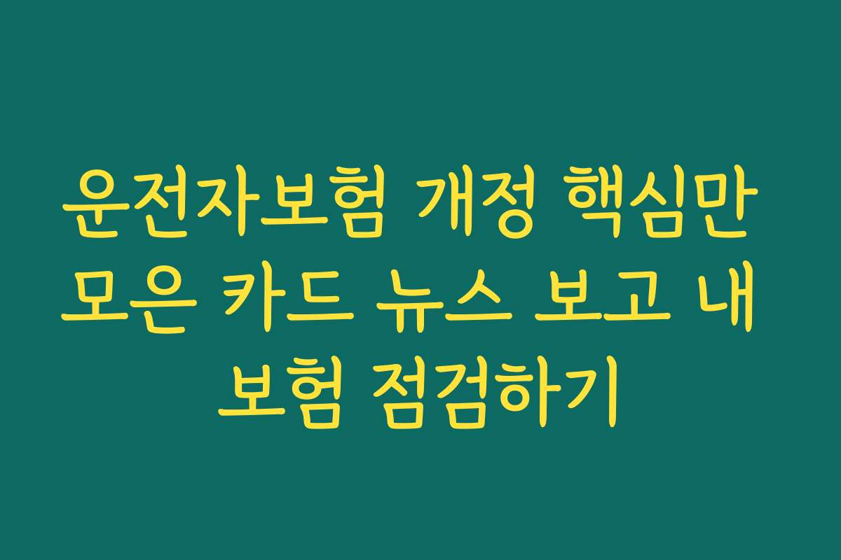 운전자보험 개정 핵심만 모은 카드 뉴스 보고 내 보험 점검하기