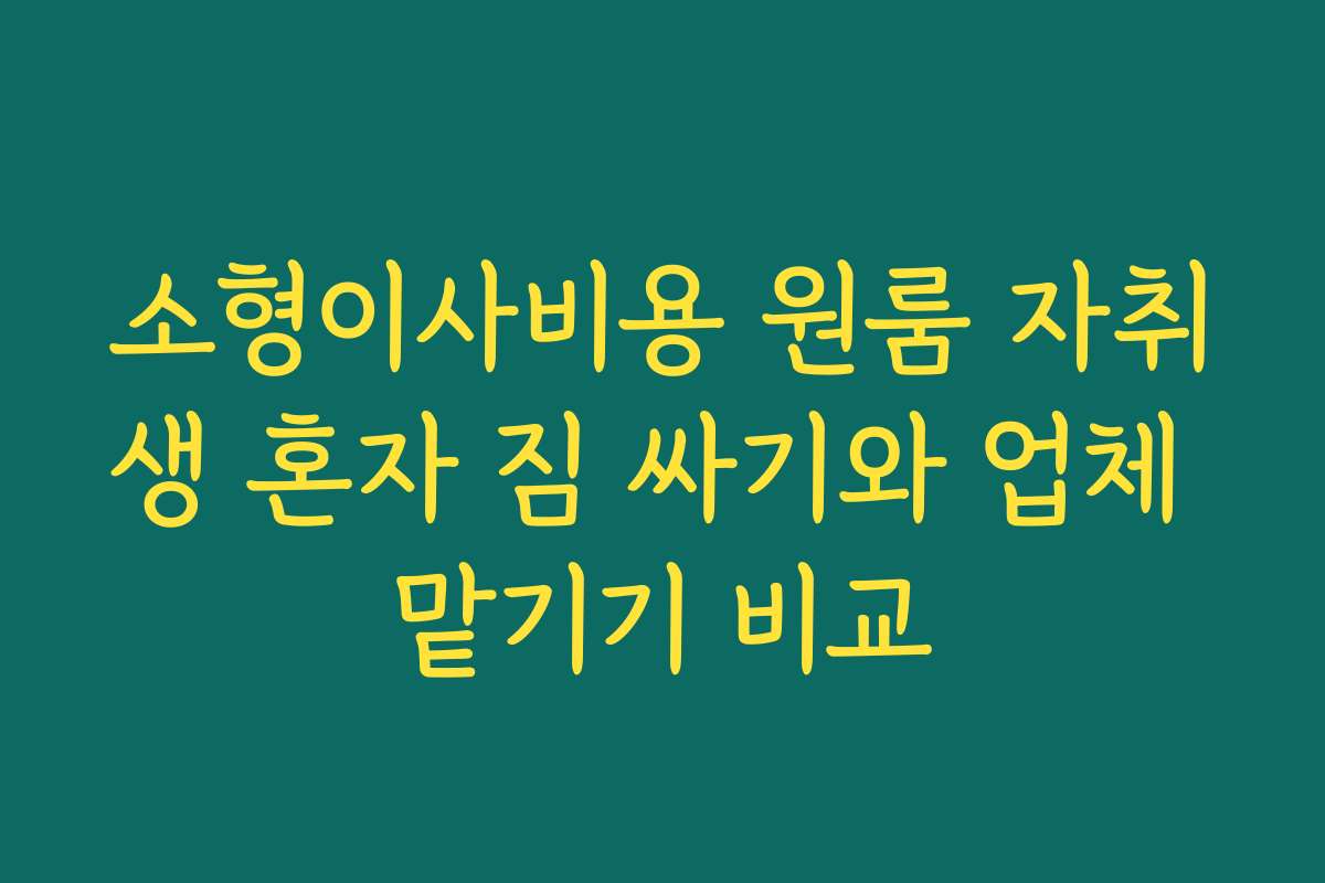 소형이사비용 원룸 자취생 혼자 짐 싸기와 업체 맡기기 비교