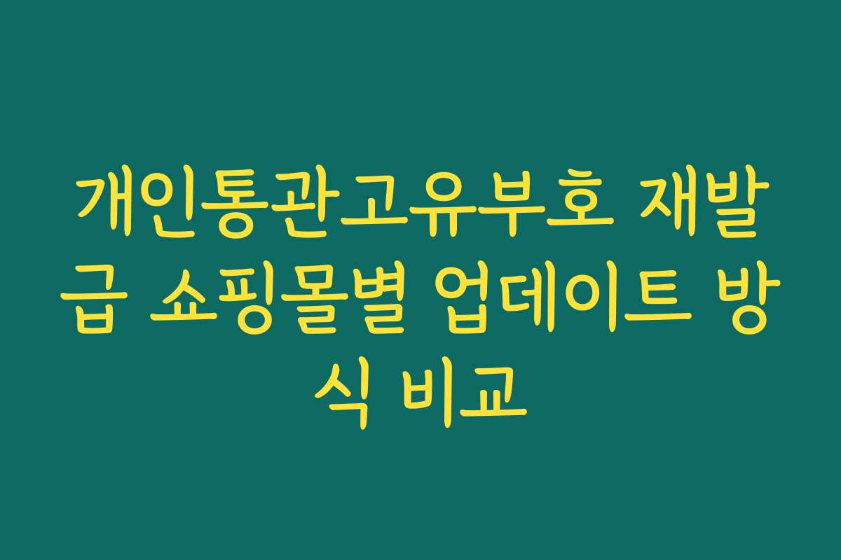 개인통관고유부호 재발급 쇼핑몰별 업데이트 방식 비교