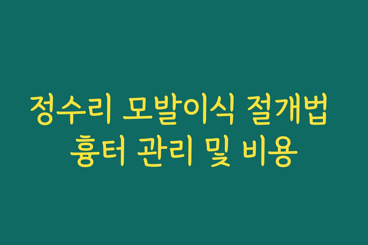 정수리 모발이식 절개법 흉터 관리 및 비용