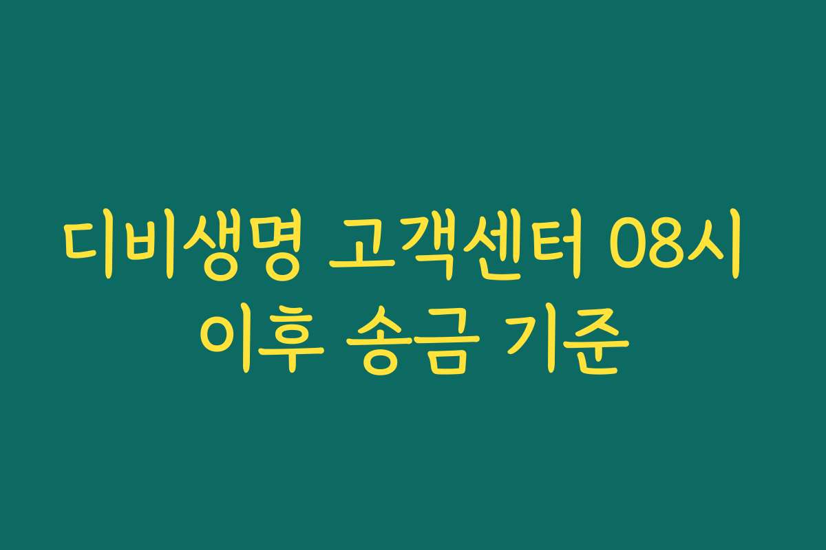 디비생명 고객센터 08시 이후 송금 기준