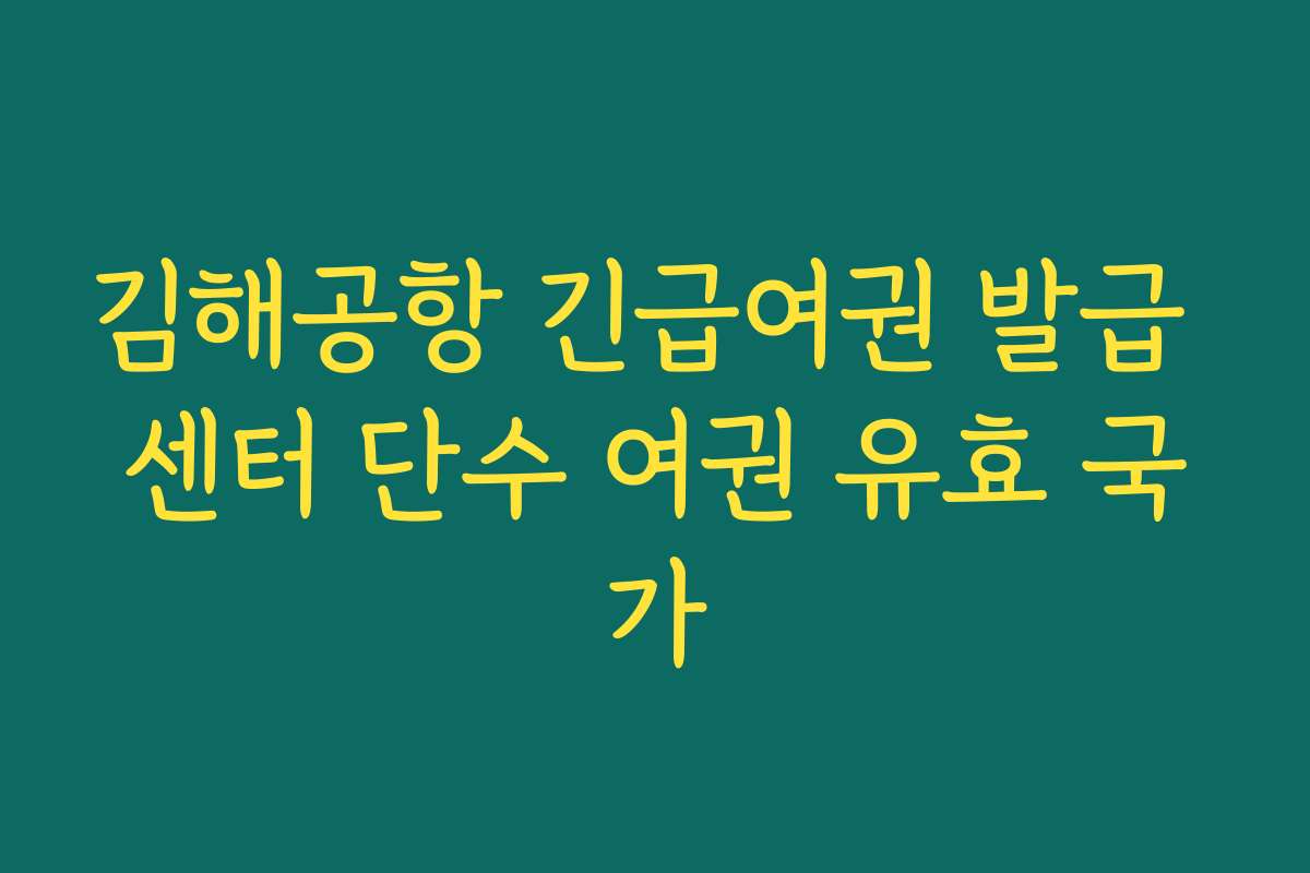 김해공항 긴급여권 발급 센터 단수 여권 유효 국가