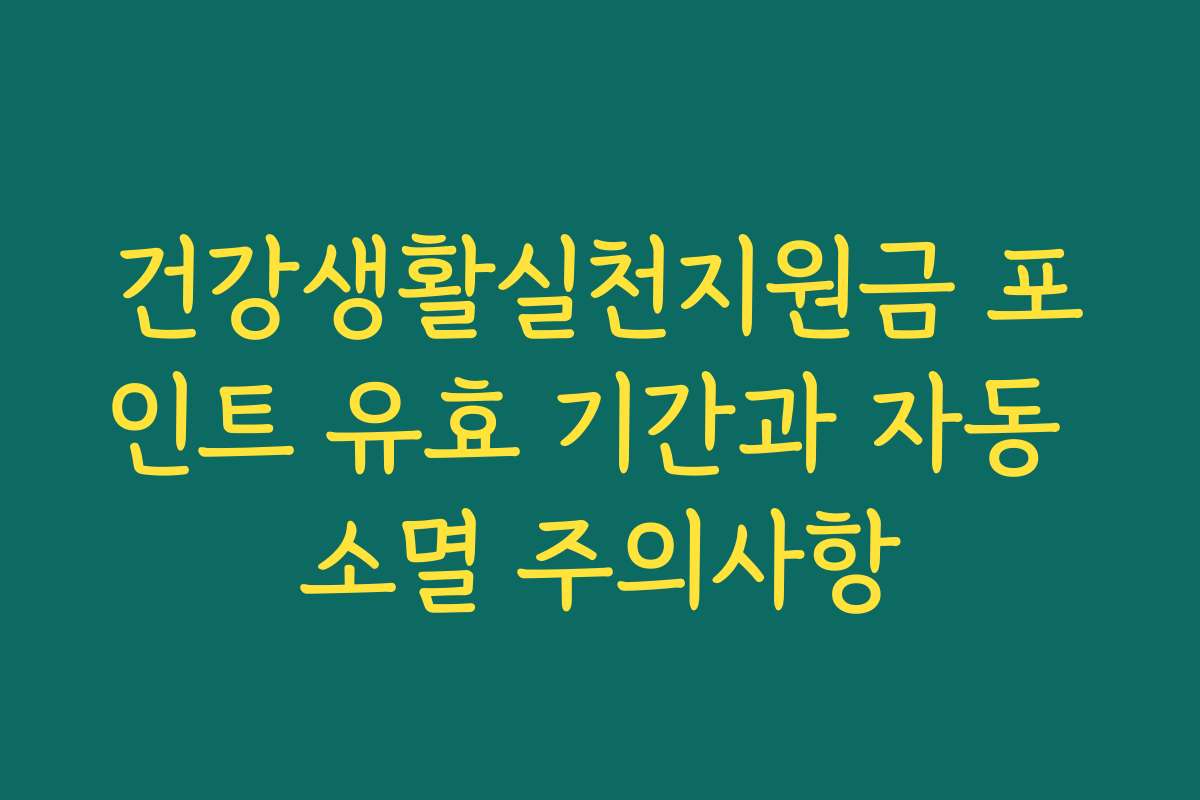 건강생활실천지원금 포인트 유효 기간과 자동 소멸 주의사항