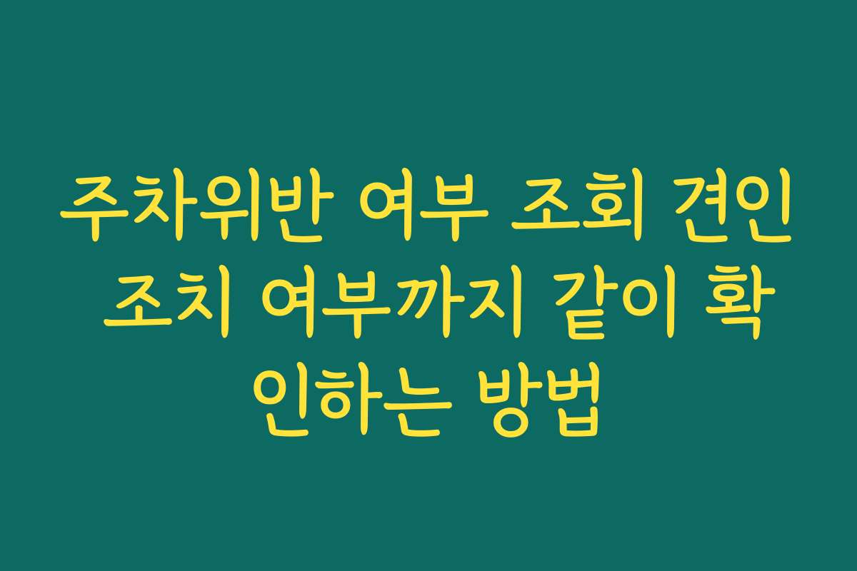 주차위반 여부 조회 견인 조치 여부까지 같이 확인하는 방법