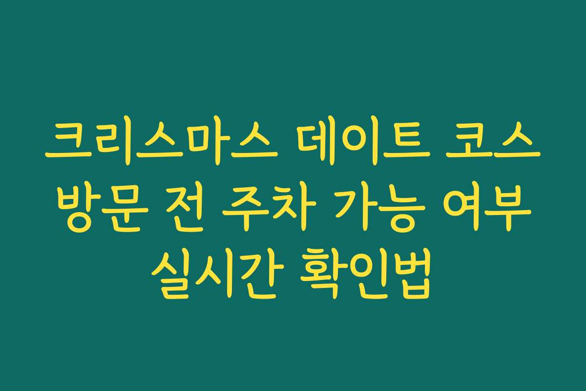 크리스마스 데이트 코스 방문 전 주차 가능 여부 실시간 확인법