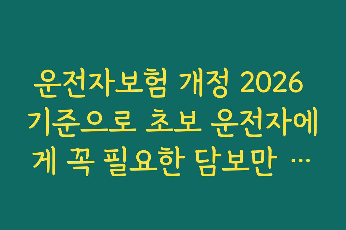 운전자보험 개정 2026 기준으로 초보 운전자에게 꼭 필요한 담보만 추리는 법