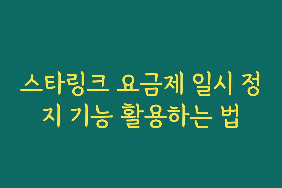스타링크 요금제 일시 정지 기능 활용하는 법
