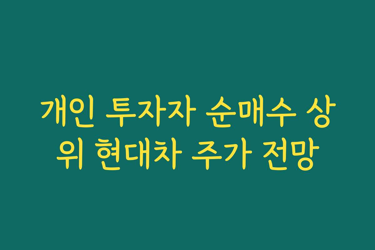 개인 투자자 순매수 상위 현대차 주가 전망