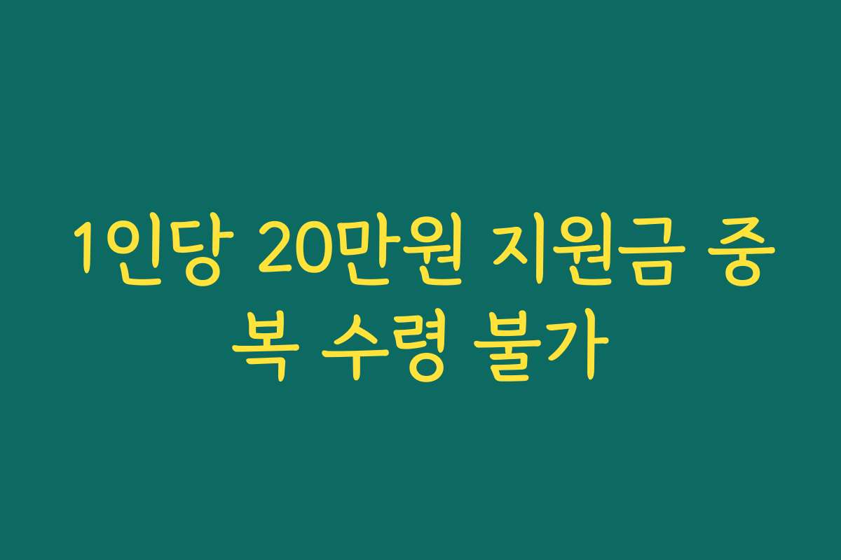 1인당 20만원 지원금 중복 수령 불가