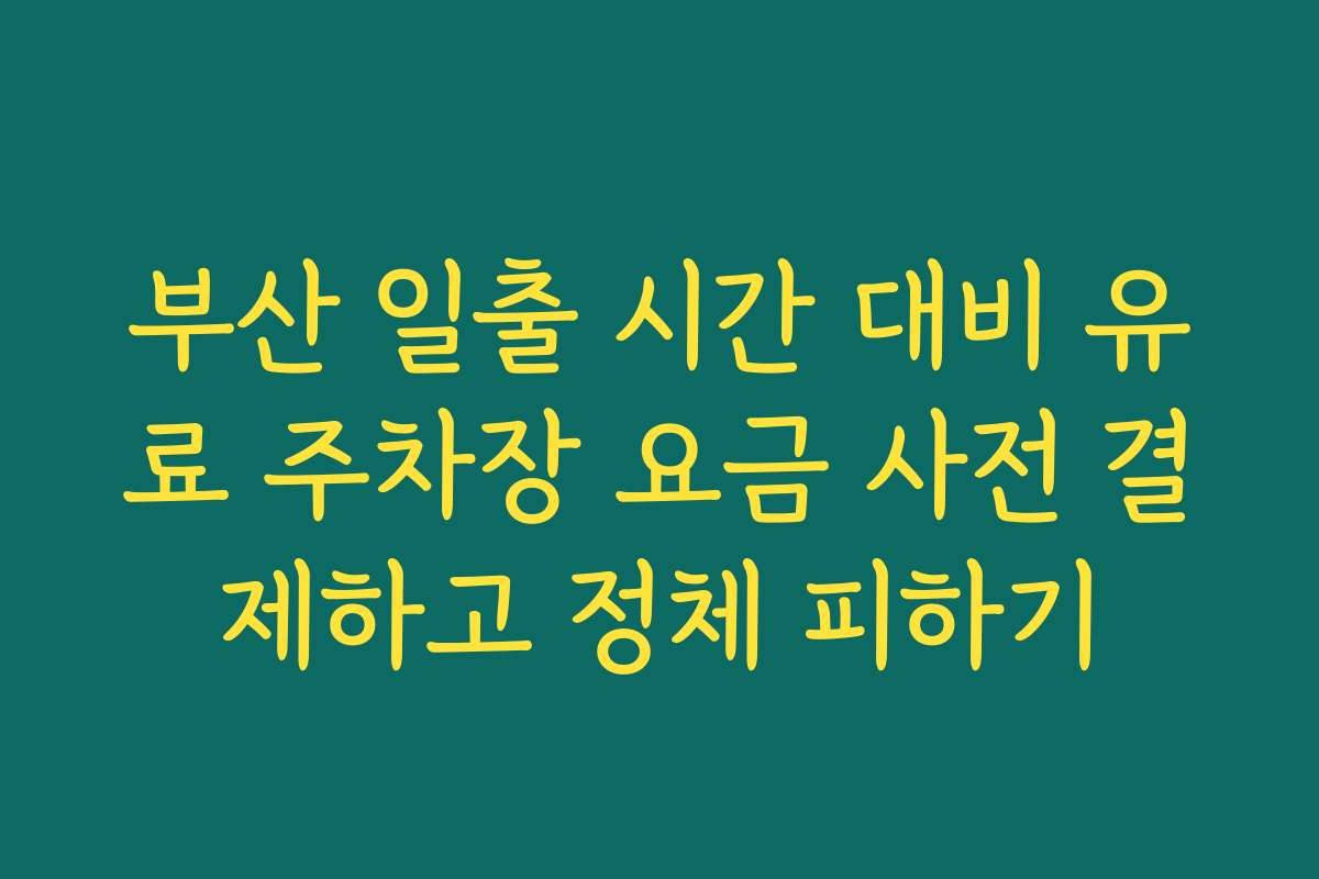 부산 일출 시간 대비 유료 주차장 요금 사전 결제하고 정체 피하기