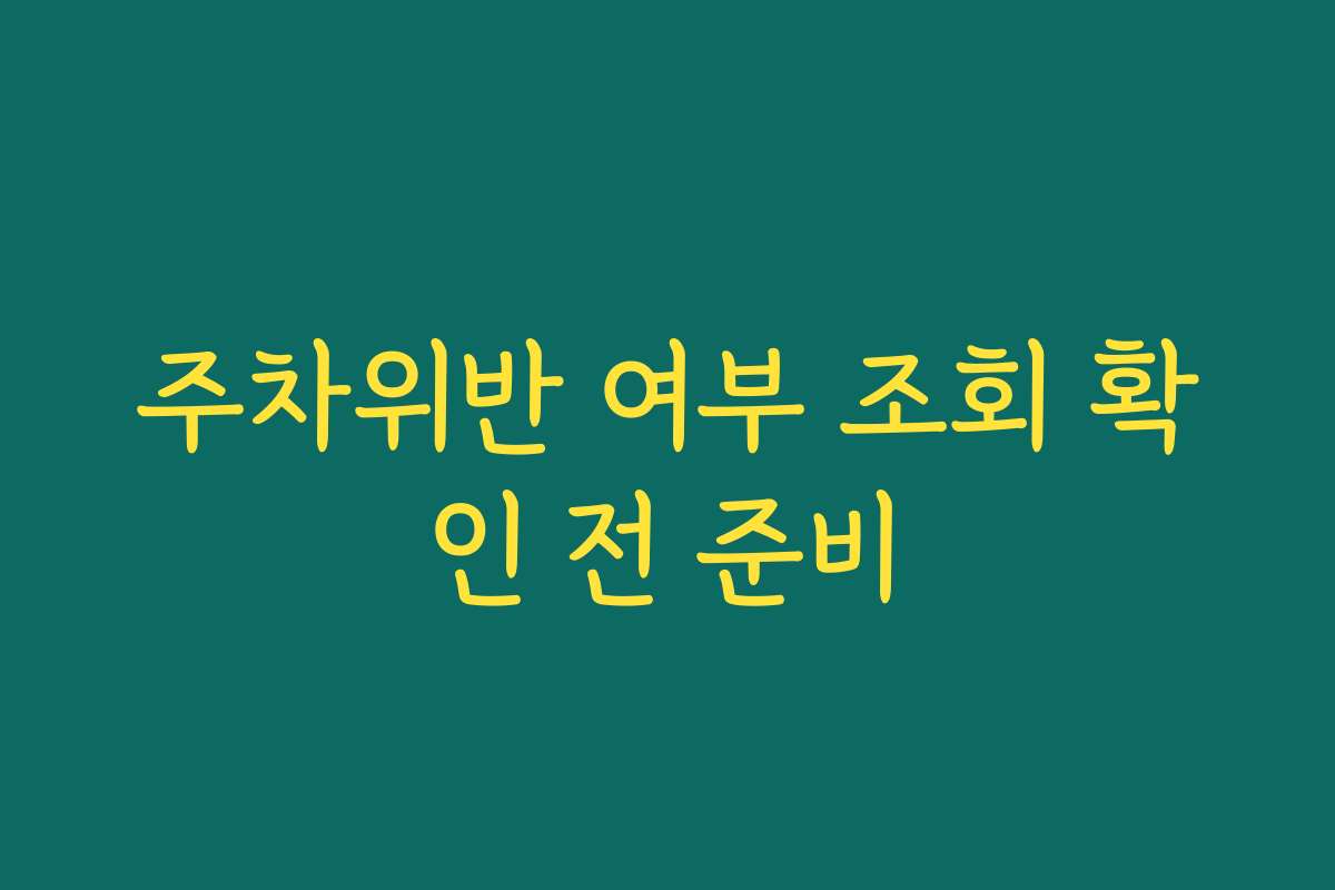 주차위반 여부 조회 확인 전 준비
