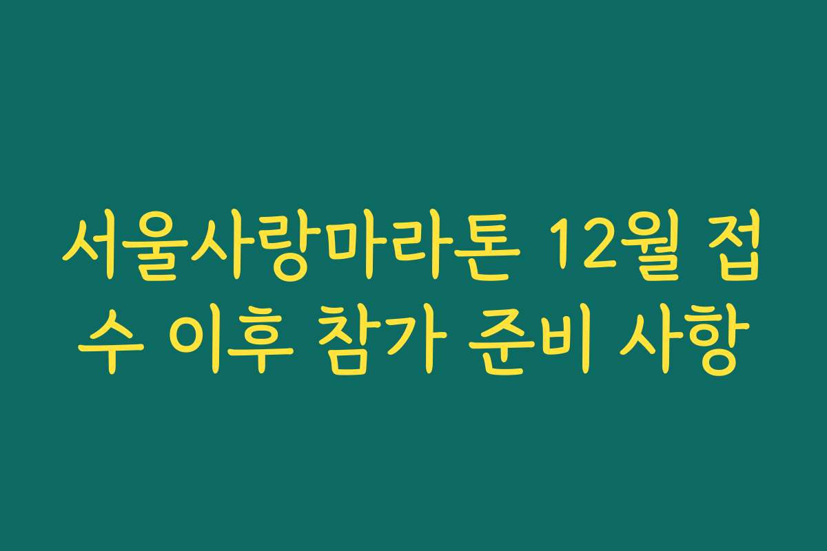 서울사랑마라톤 12월 접수 이후 참가 준비 사항
