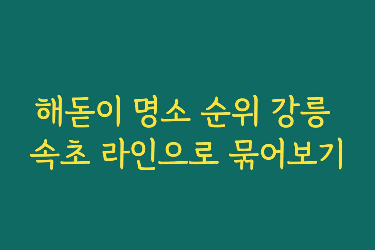 해돋이 명소 순위 강릉 속초 라인으로 묶어보기