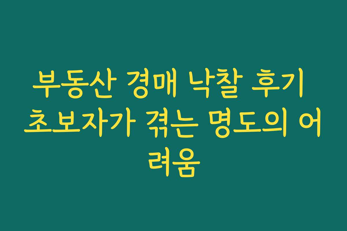 부동산 경매 낙찰 후기 초보자가 겪는 명도의 어려움