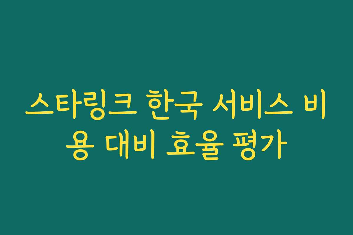 스타링크 한국 서비스 비용 대비 효율 평가