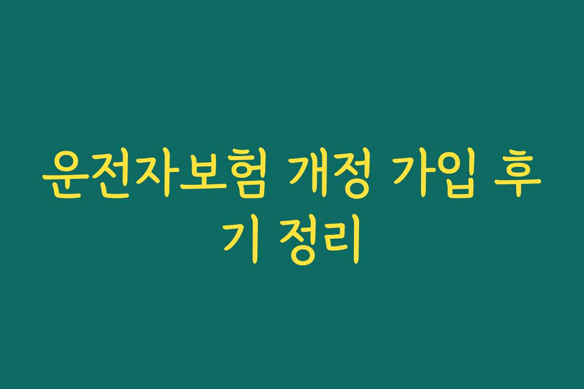 운전자보험 개정 가입 후기 정리