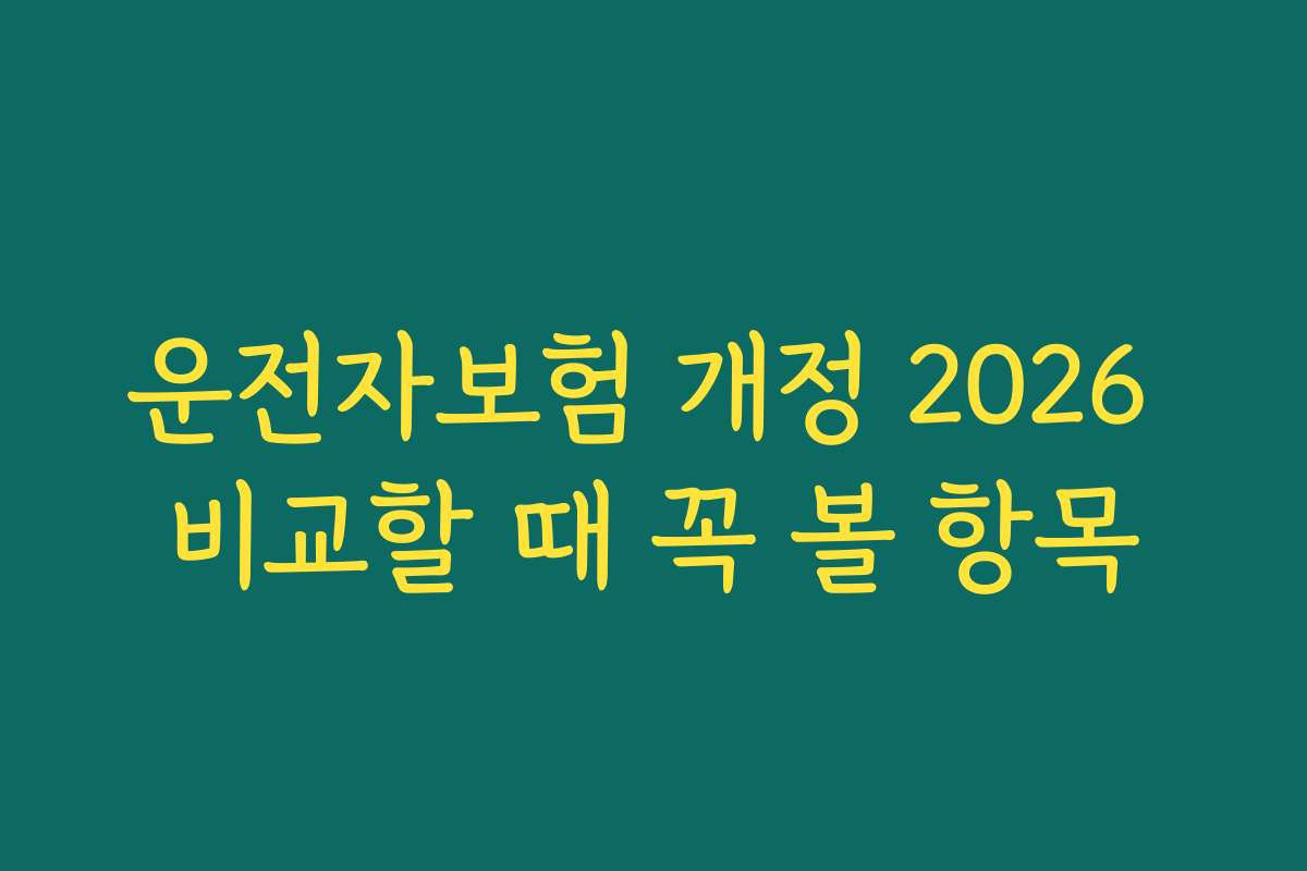 운전자보험 개정 2026 비교할 때 꼭 볼 항목