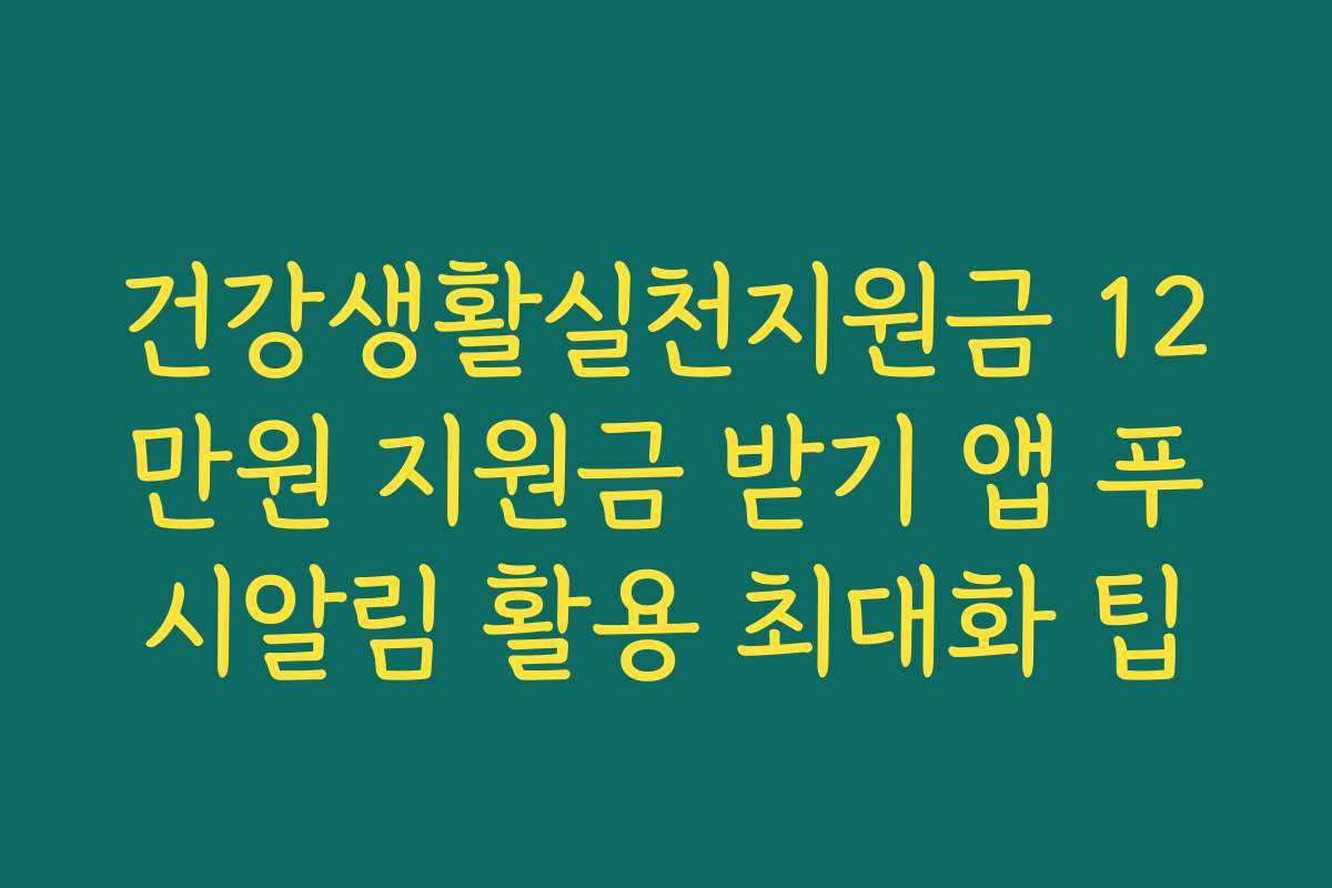 건강생활실천지원금 12만원 지원금 받기 앱 푸시알림 활용 최대화 팁