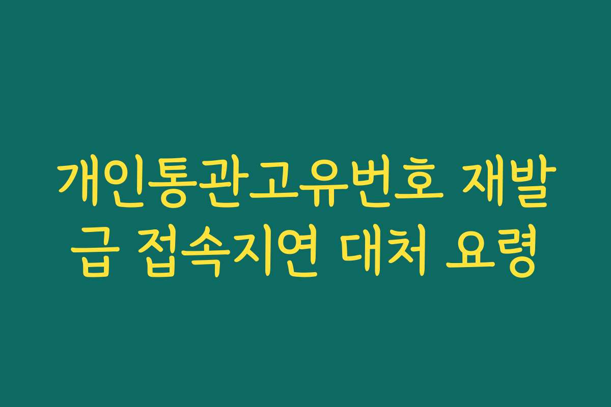 개인통관고유번호 재발급 접속지연 대처 요령