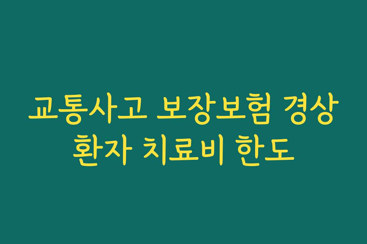 교통사고 보장보험 경상환자 치료비 한도