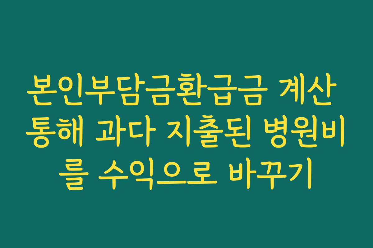 본인부담금환급금 계산 통해 과다 지출된 병원비를 수익으로 바꾸기