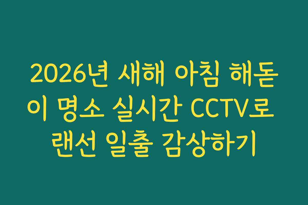 2026년 새해 아침 해돋이 명소 실시간 CCTV로 랜선 일출 감상하기