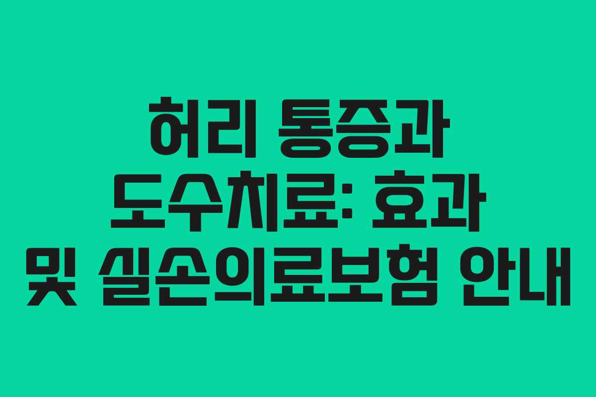 허리 통증과 도수치료: 효과 및 실손의료보험 안내
