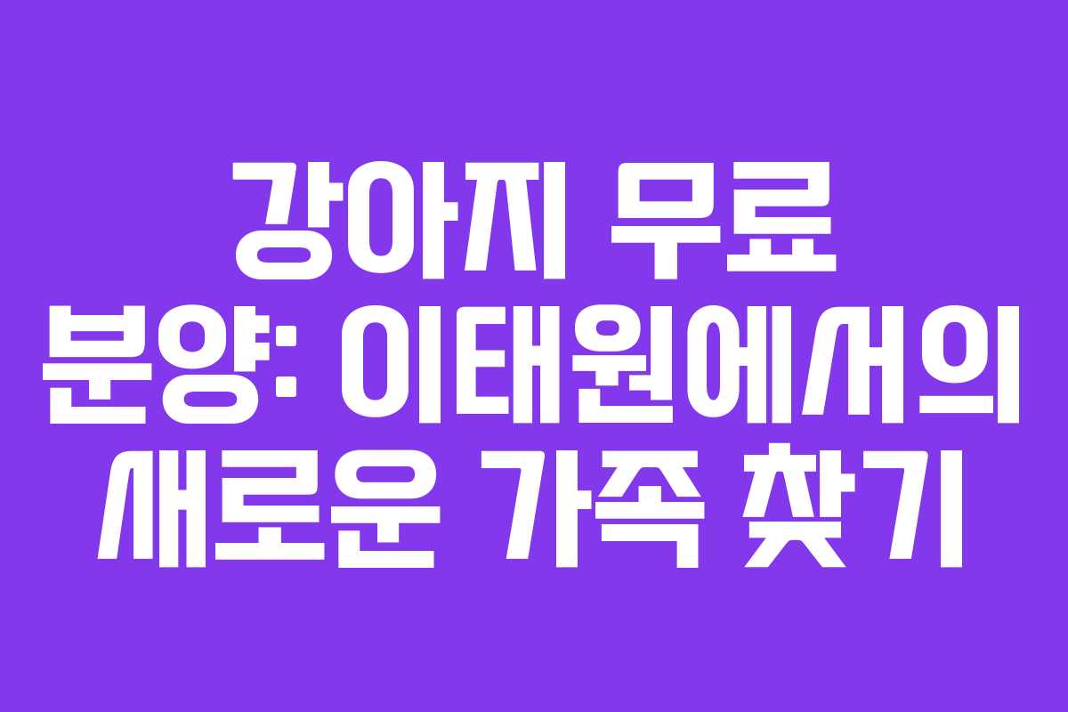 강아지 무료 분양: 이태원에서의 새로운 가족 찾기