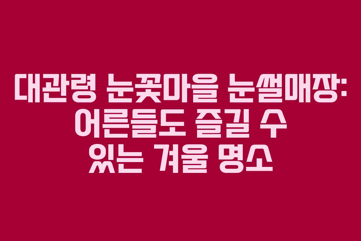 대관령 눈꽃마을 눈썰매장: 어른들도 즐길 수 있는 겨울 명소