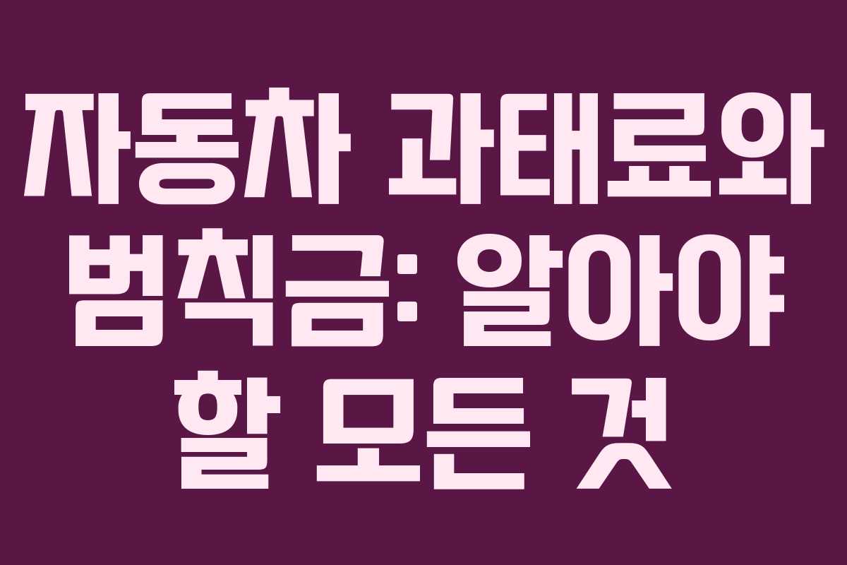 자동차 과태료와 범칙금: 알아야 할 모든 것
