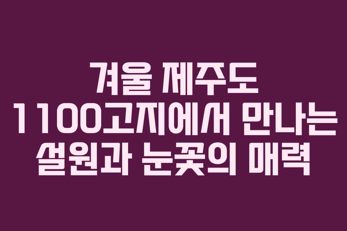 겨울 제주도 1100고지에서 만나는 설원과 눈꽃의 매력