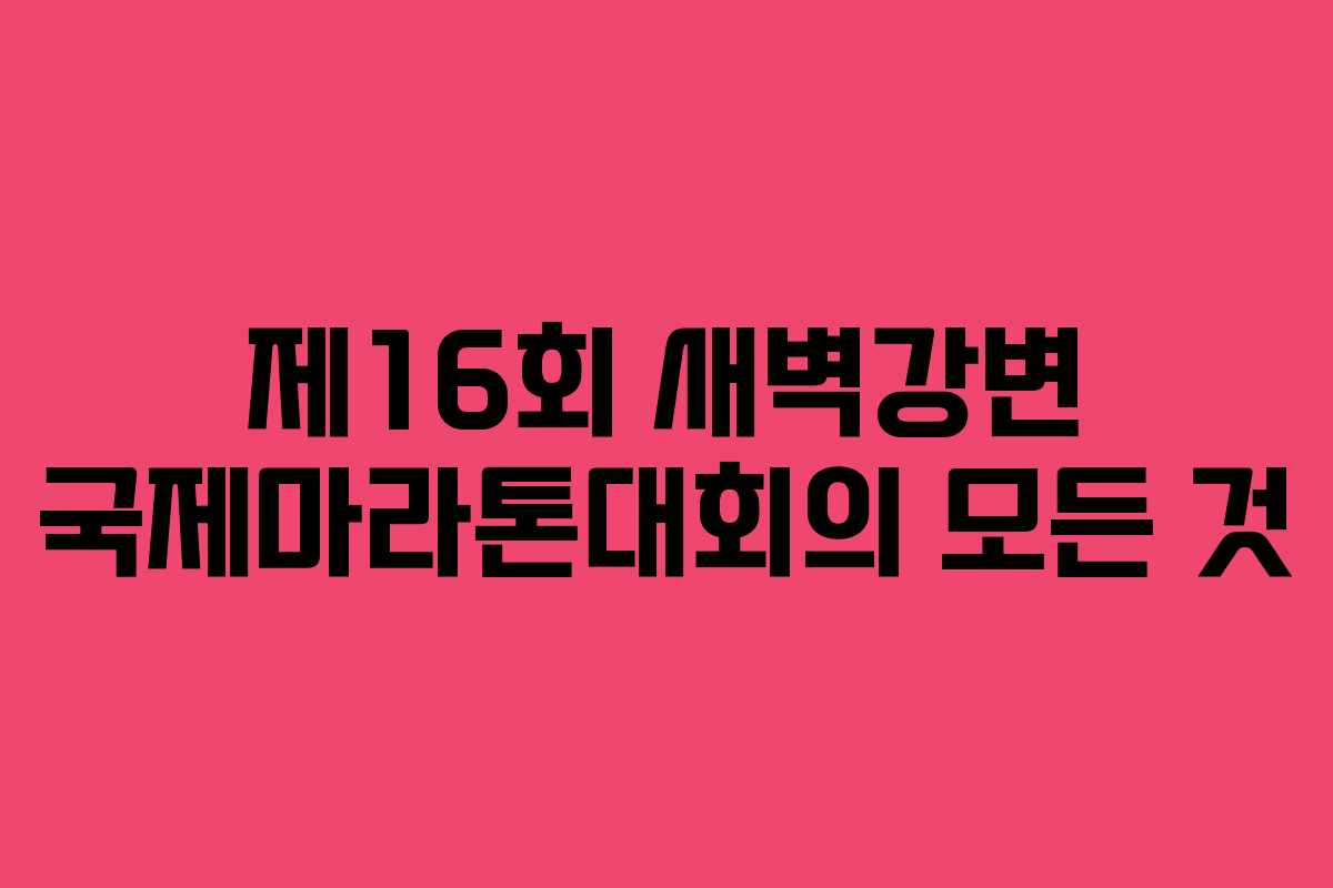 제16회 새벽강변 국제마라톤대회의 모든 것