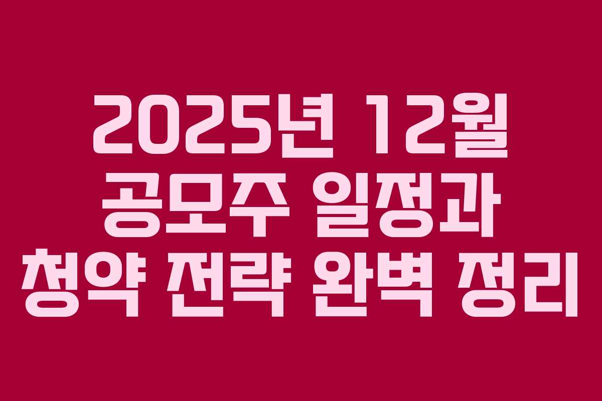 2025년 12월 공모주 일정과 청약 전략 완벽 정리