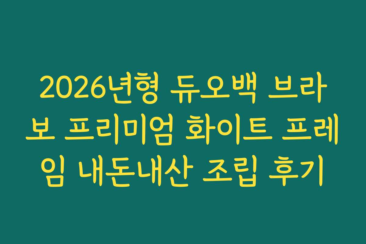 2026년형 듀오백 브라보 프리미엄 화이트 프레임 내돈내산 조립 후기