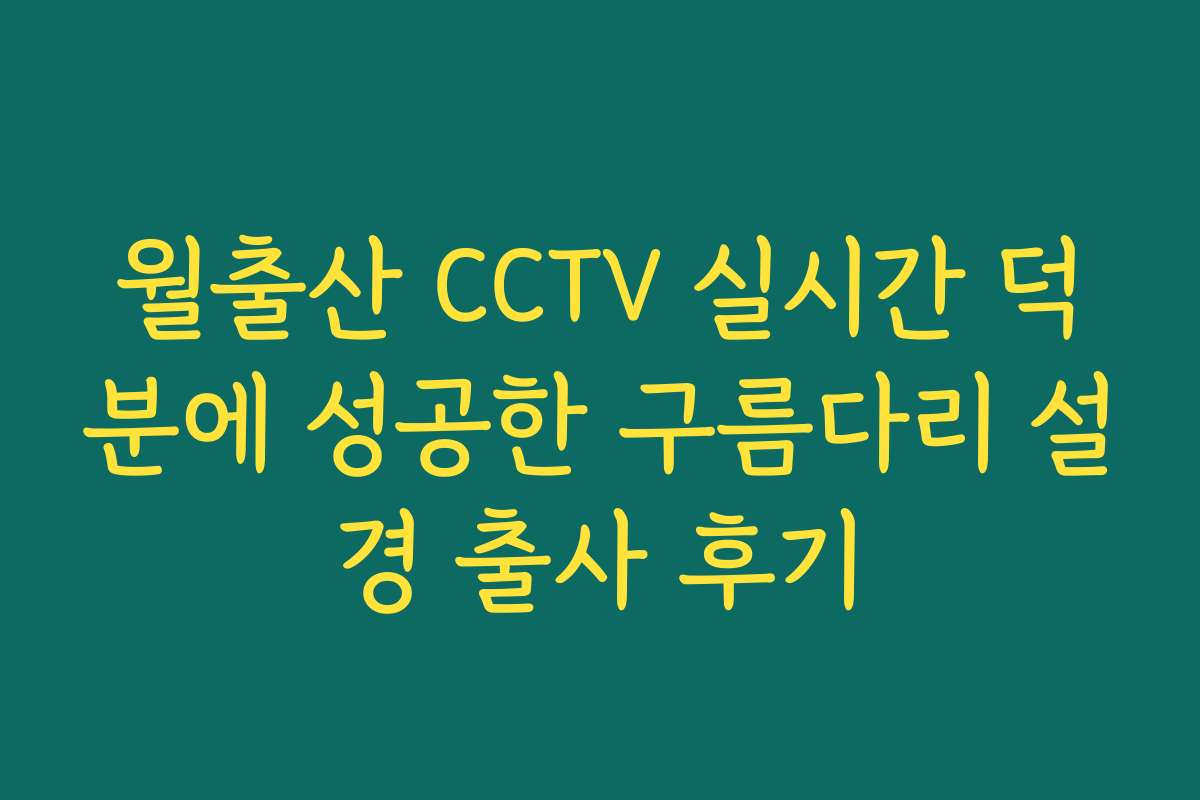 월출산 CCTV 실시간 덕분에 성공한 구름다리 설경 출사 후기