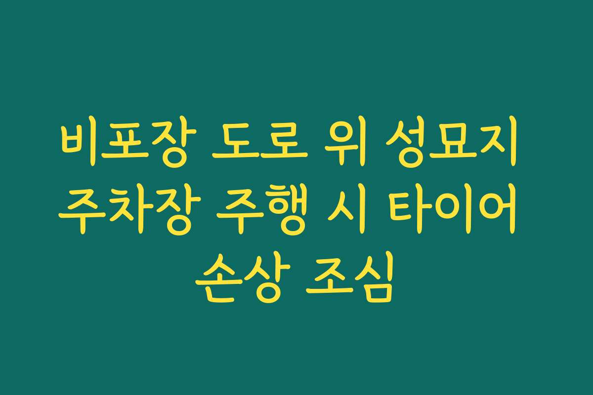 비포장 도로 위 성묘지 주차장 주행 시 타이어 손상 조심
