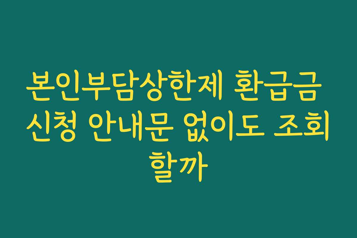 본인부담상한제 환급금 신청 안내문 없이도 조회할까