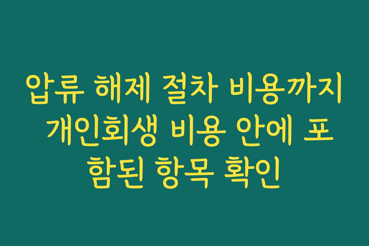 압류 해제 절차 비용까지 개인회생 비용 안에 포함된 항목 확인