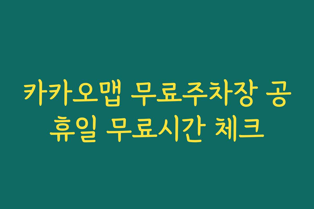 카카오맵 무료주차장 공휴일 무료시간 체크
