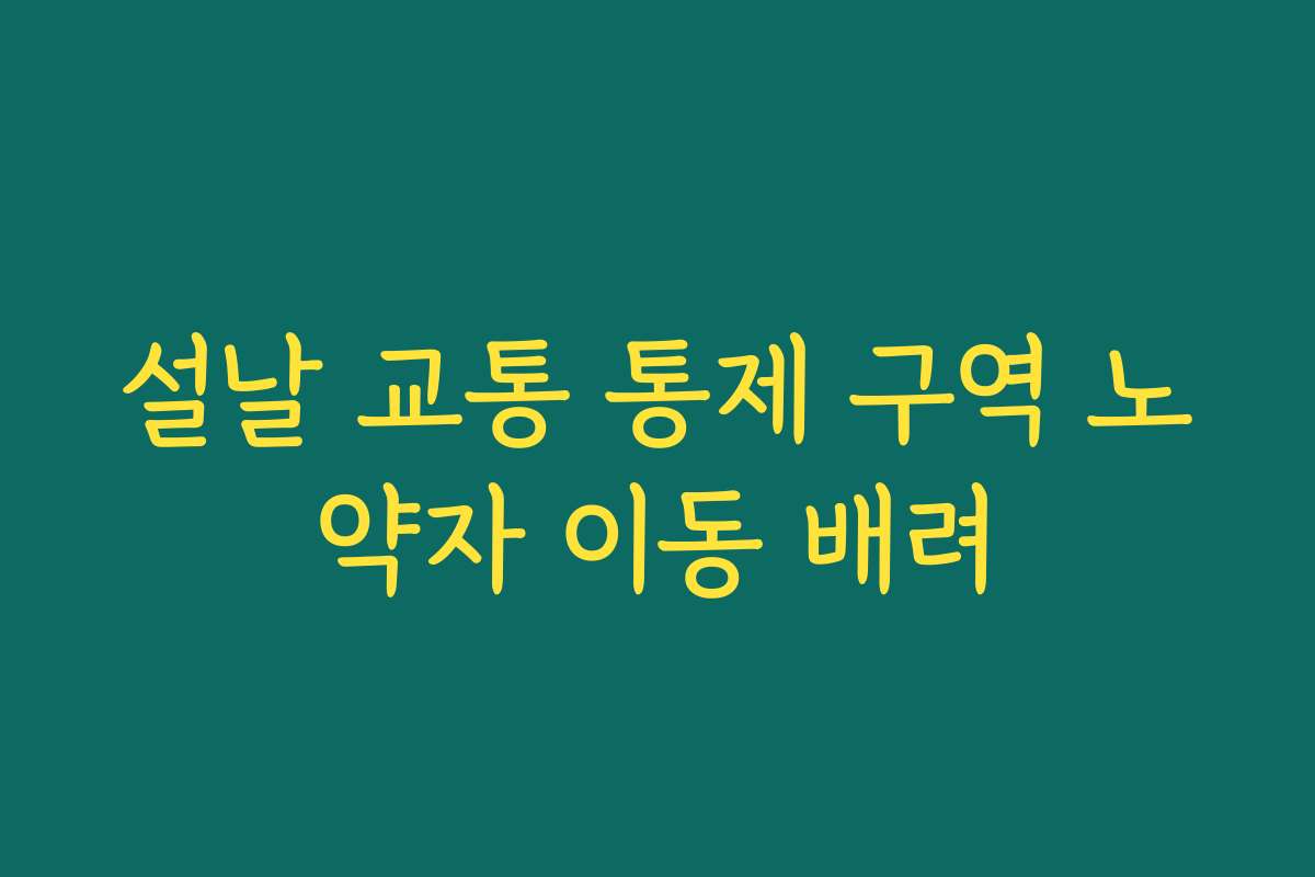 설날 교통 통제 구역 노약자 이동 배려